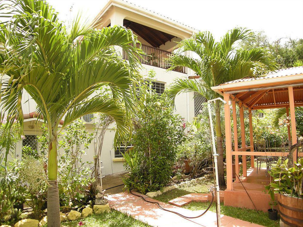 Palm Paradise Guest House And Apartments BARBADOS Екстер'єр фото